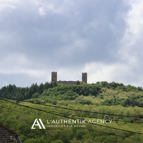 Photographie de la vue depuis l'appartement de barr sur le château d'andlau