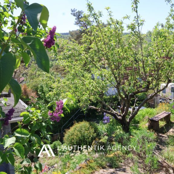 Photographie du jardin avec arbre en fleur